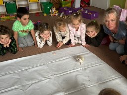 Akce s Wendy Bílkovou